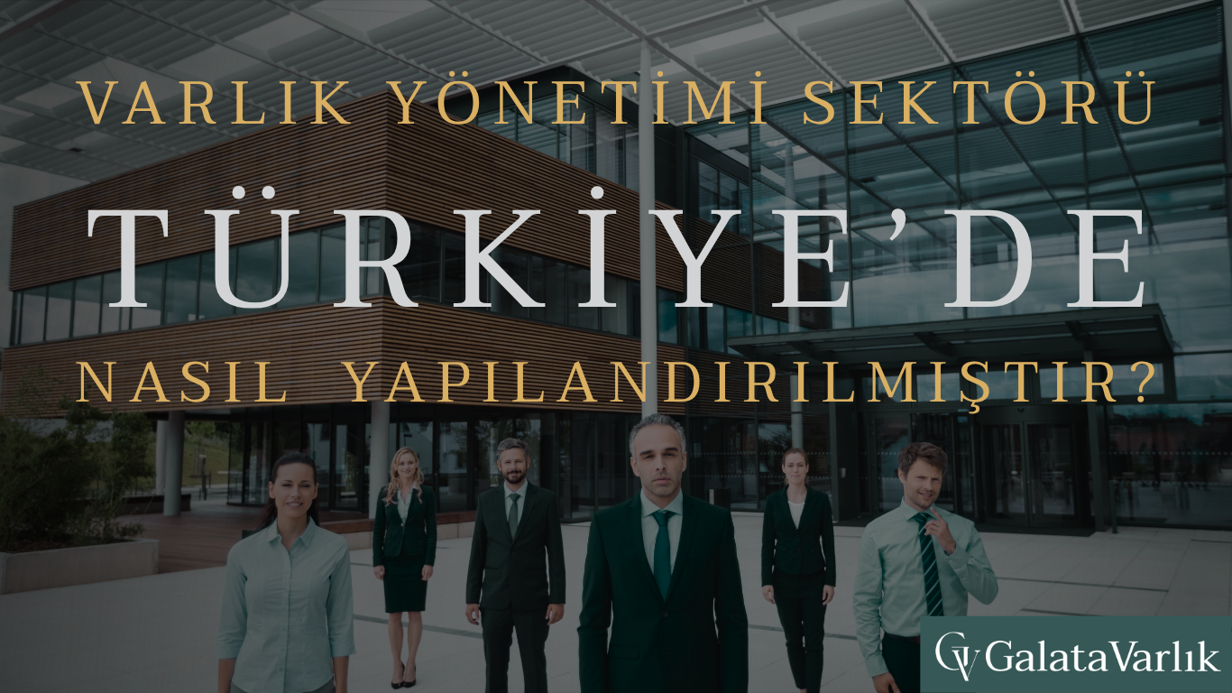 Varlık Yönetimi Sektörü Türkiye'de Nasıl Yapılandırılmıştır?